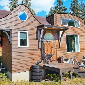 Carpenter Builds Incredible Sculpted Tiny House with Loads of Unique Features!