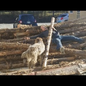 Incredible Wood