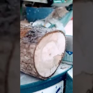 How to process wood for your tiny house without a chainsaw.