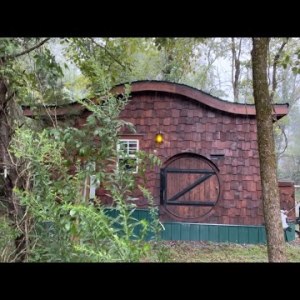 Weekly Wednesday Q&A Episode 19 on Location in The Forest @ The Tiny Hobbitt House on Wheels 🏡🇺🇸